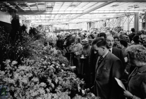 Spring Flower Show, Harrogate, 1960